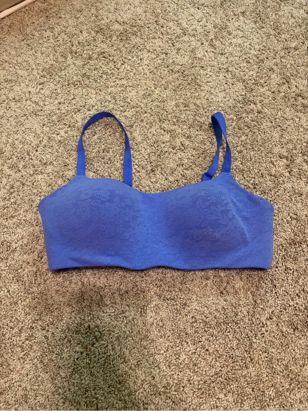 Seamless Lace Wireless Bralette - Blue Aerie